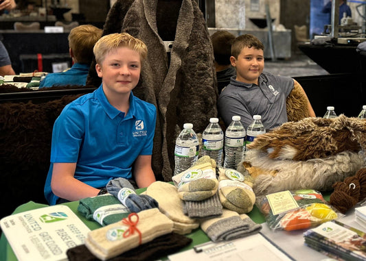 Donate To Youth Entrepreneur Program