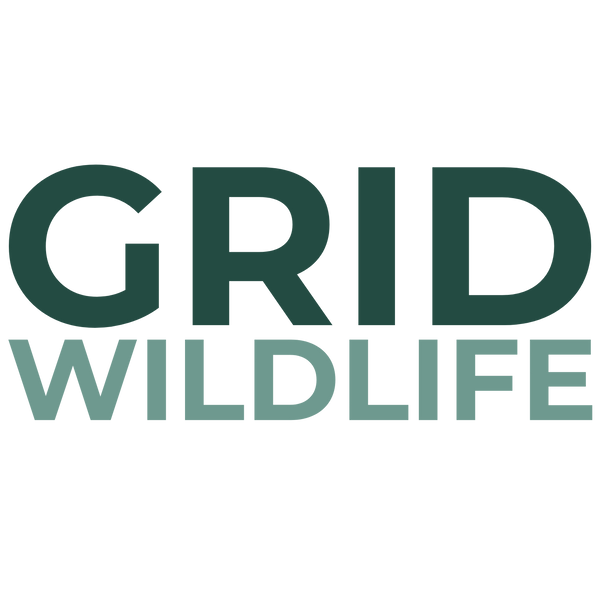 Grid Wildlife